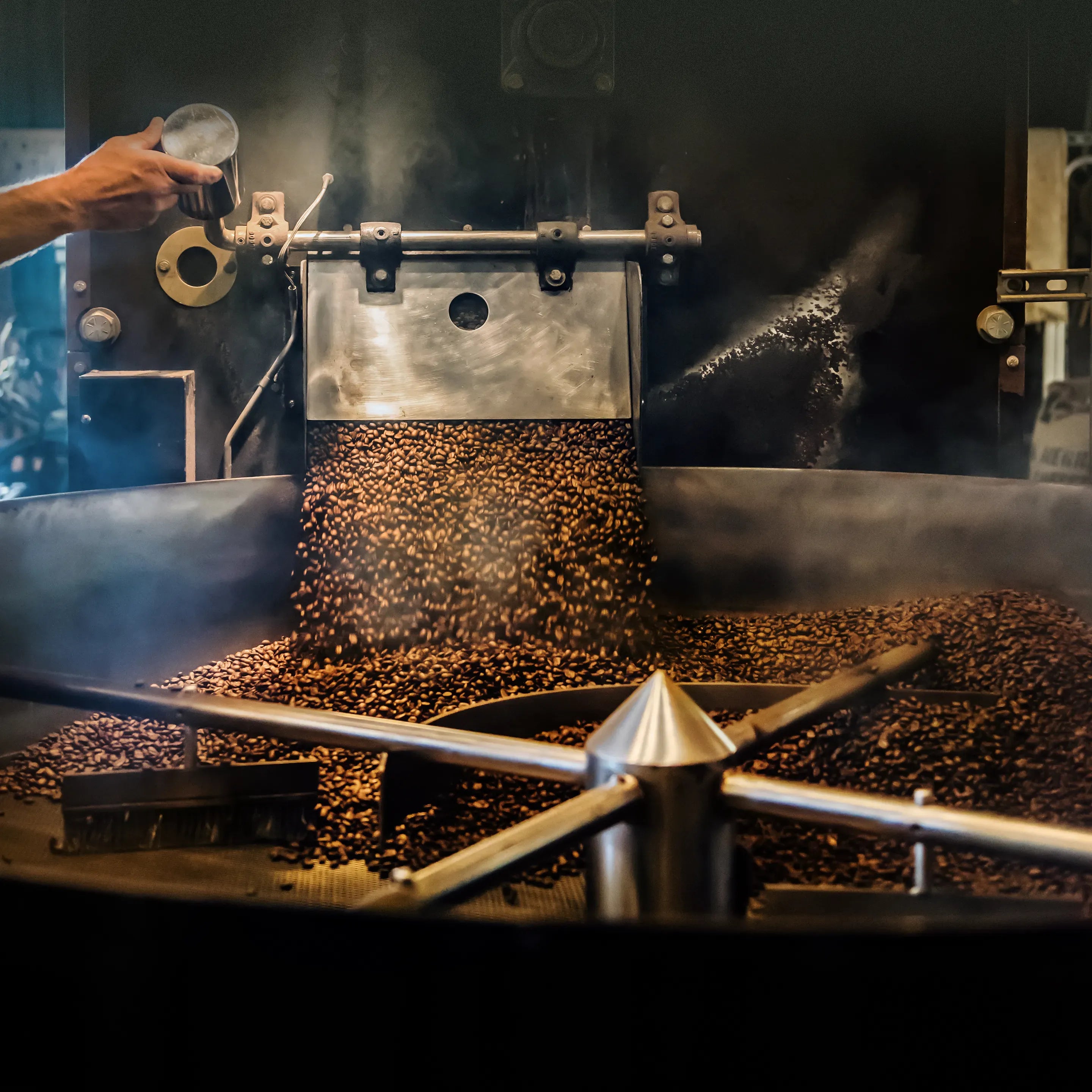 Medium Roast Coffees