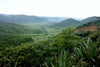 TANZANIA Peaberry Korongo