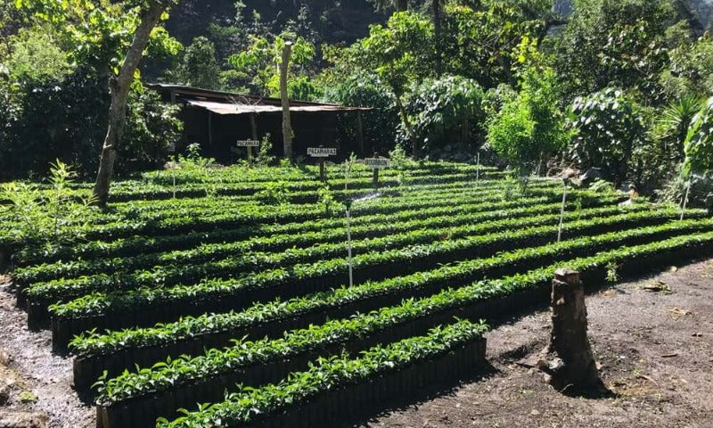 GUATEMALA Huehuetenango